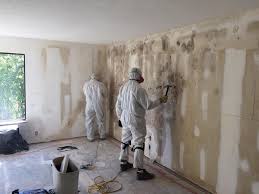 Professional Mold Removal Services in Cresskill, NJ